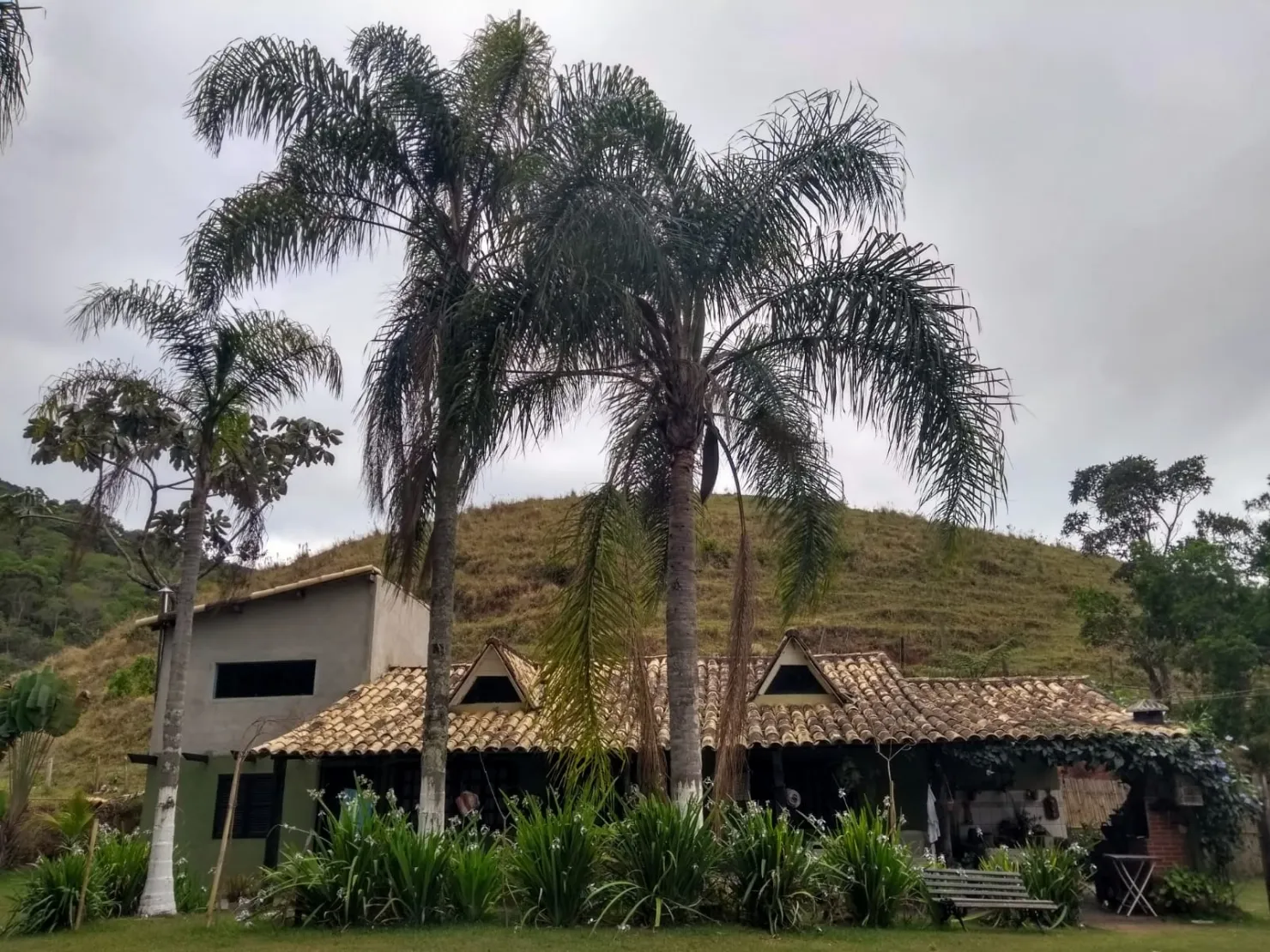 Imagem Chácara à venda 3 Quartos, 1 Suite, 2008600M², Zona Rural, Caçapava - SP