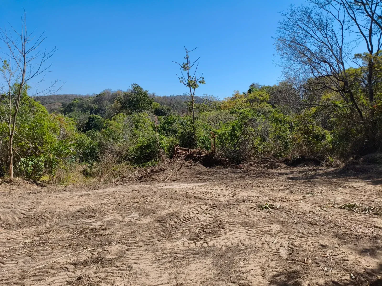 Imagem Chácara com 1 Quarto à Venda, 5.000 m² em Ravena - Sabará