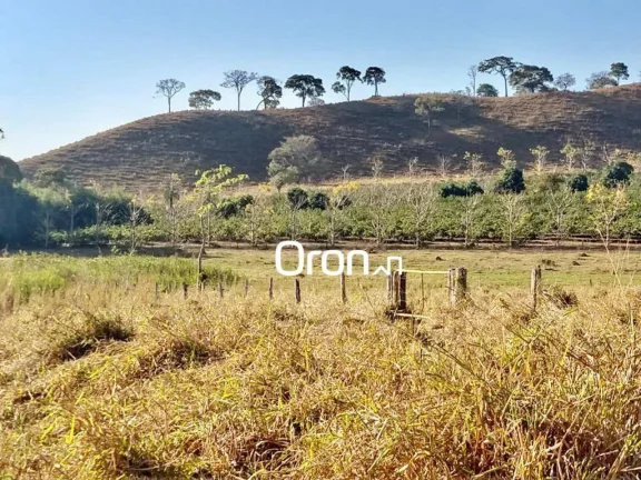 Imagem Fazenda com 5 dormitórios à venda, 3500000 m² por R$ 65.000.000,00 - Goiânia - Goiânia/GO