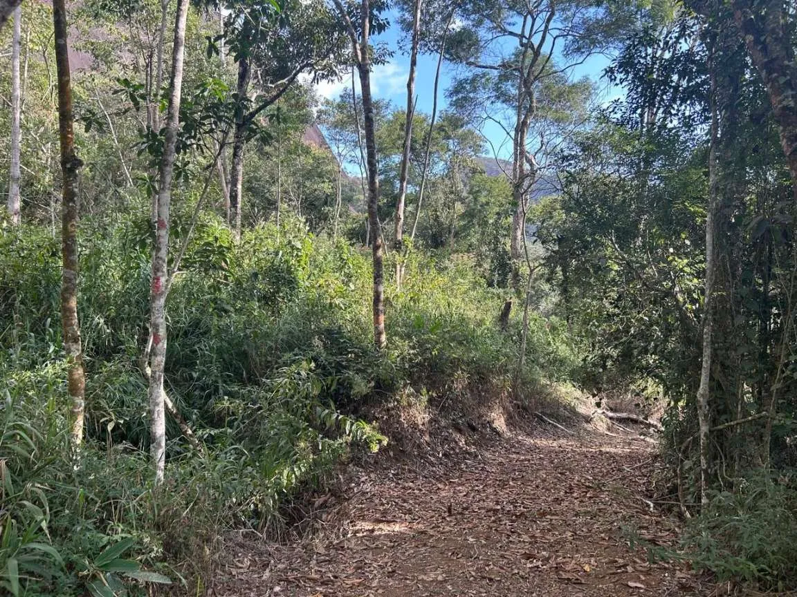 Imagem Terreno em Condomínio para Venda em Petrópolis / RJ no bairro Itaipava