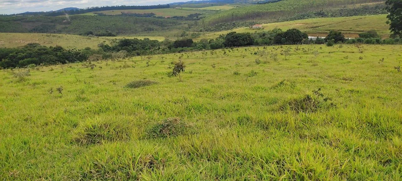 Imagem endo uma excelente fazenda em Desterro de Entre Rios com 277 hectares de terra