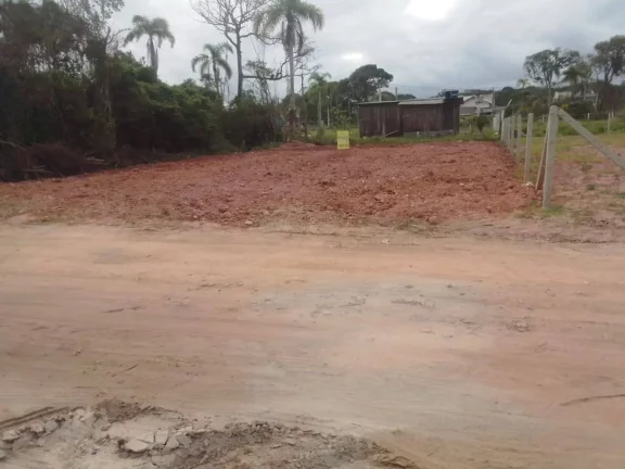 Imagem Vendo lote na praia do Erwino