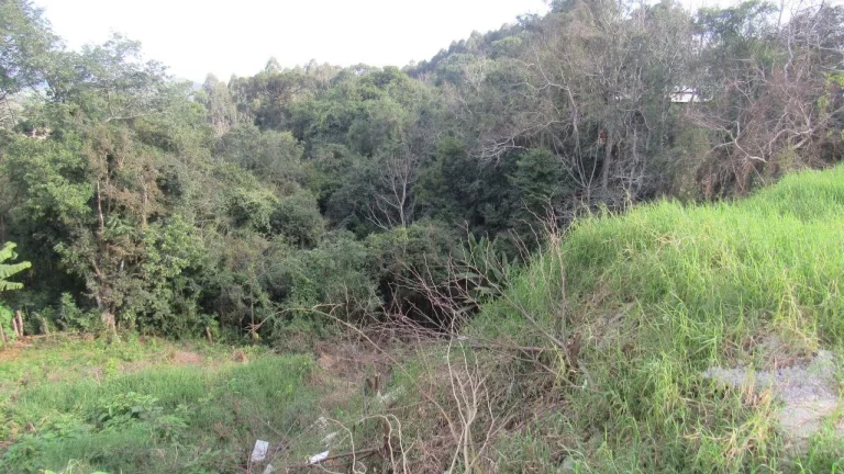 Imagem Casa para Venda em Concórdia, Santo Antônio, 2 dormitórios, 1 banheiro