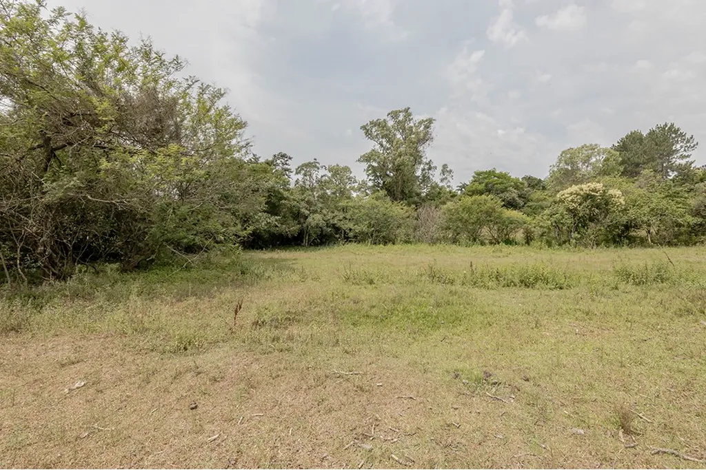 Imagem Terreno em Belém Velho