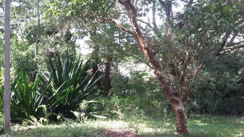 Imagem Area para Venda - 0m², 0 dormitórios, Ponta Grossa