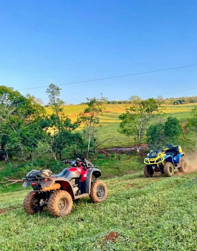 Imagem FAZENDA À VENDA | 53 HECTARES | SÃO JOSÉ DA VARGINHA/MG