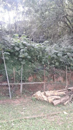 Imagem alugo ou vendo terreno 2.200 metros km 26 da Rdovia Raposo Tavares