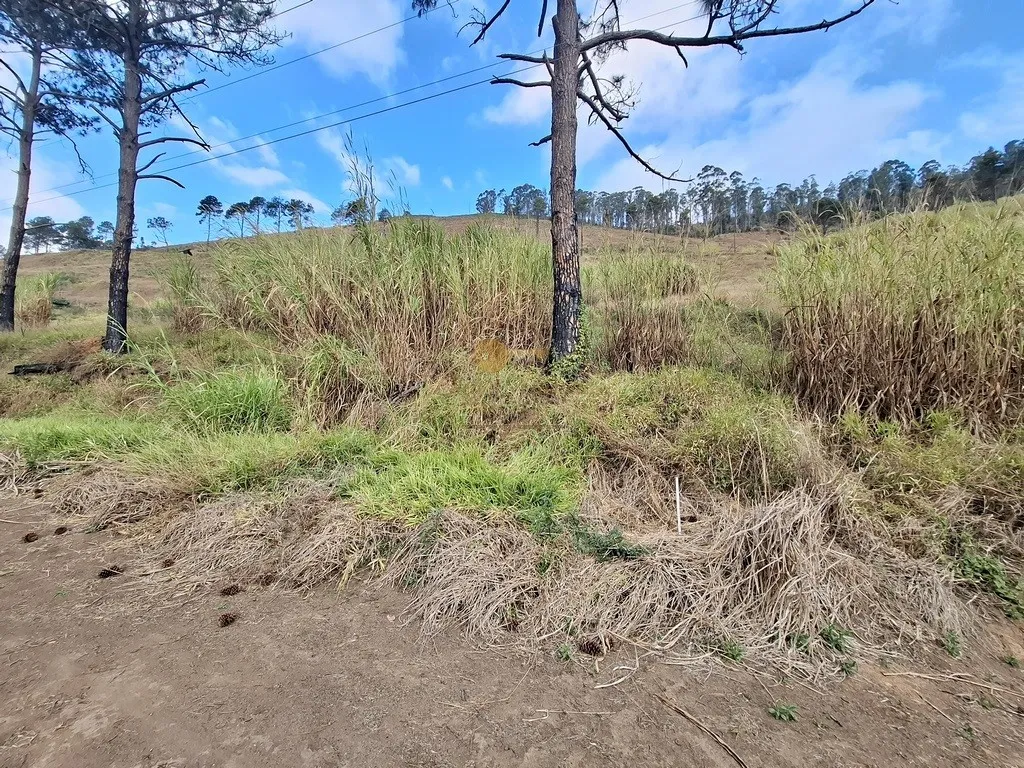 Imagem Terreno para Venda em Teresópolis / RJ no bairro Fazenda Suiça
