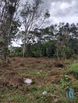 Imagem Terreno a venda 1.950m², ótima localização, ao lado de imóveis, alto padrão em Guaratuba PR