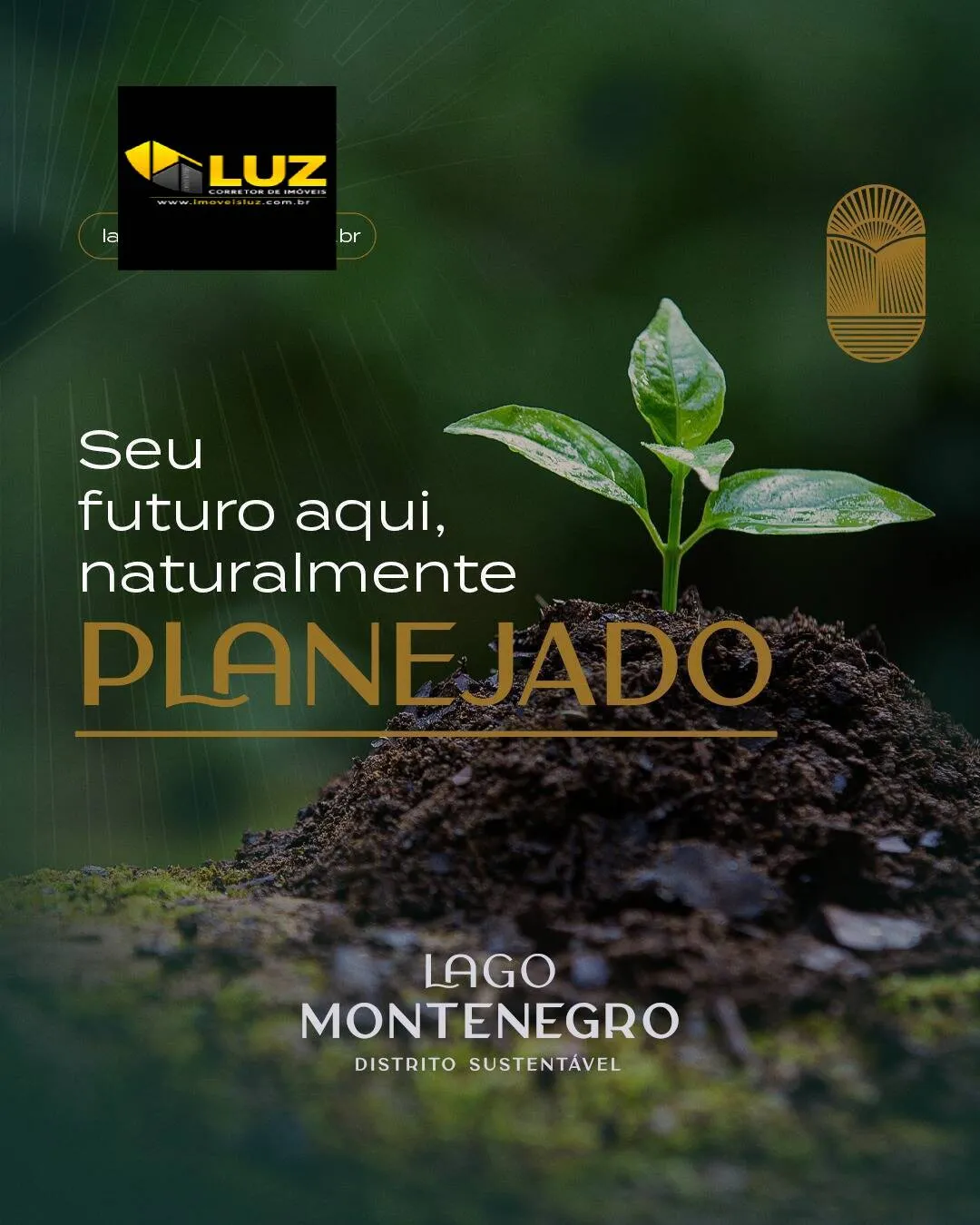 Imagem SUPER LANÇAMENTO - IPÊ BRANCO E IPÊ AMARELO - LAGO MONTENEGRO