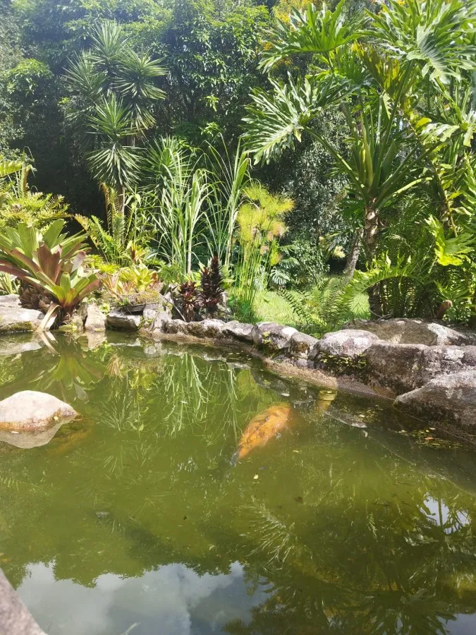 Imagem Casa em Condomínio para Venda no bairro Samambaia