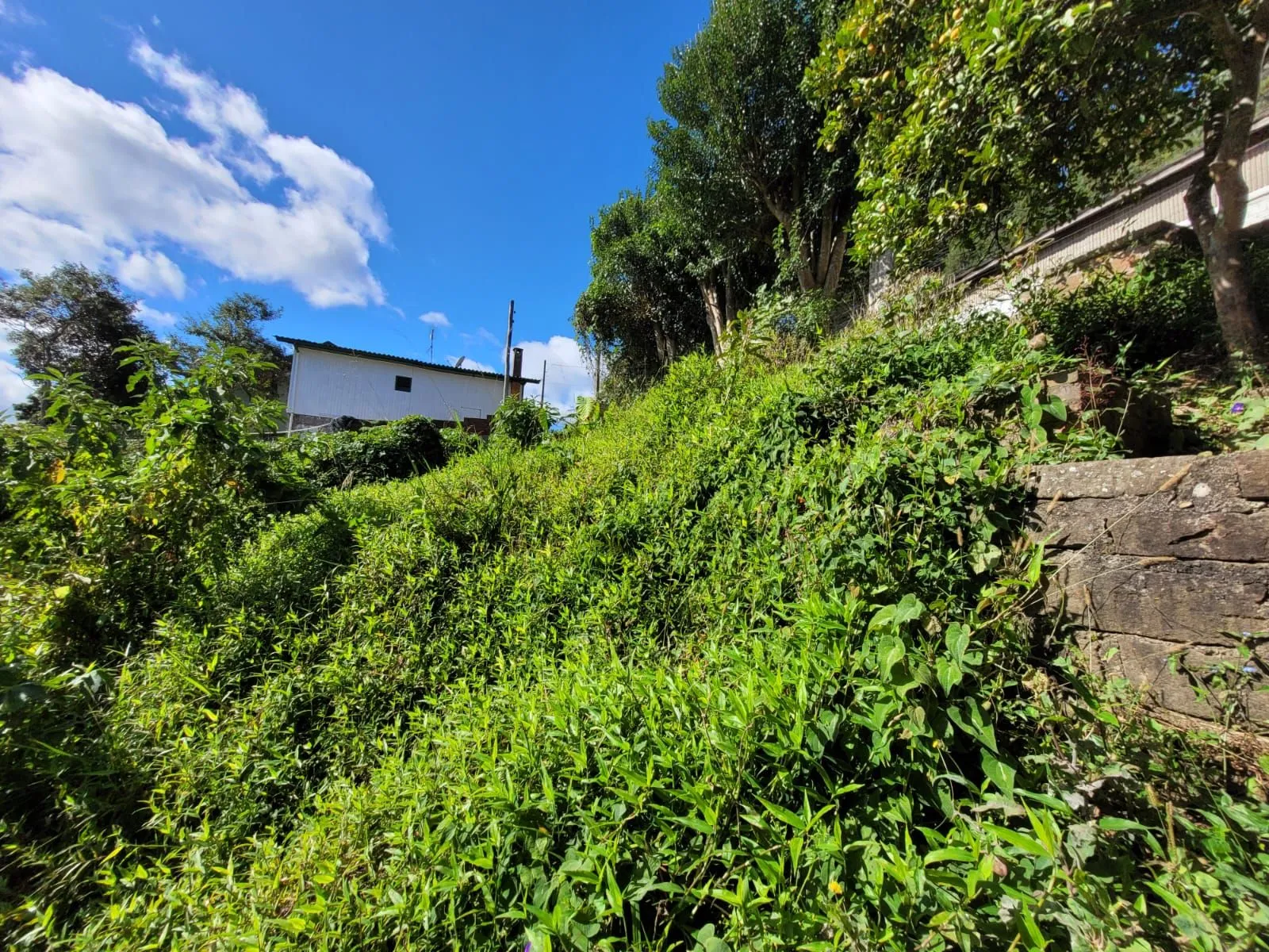 Imagem Lote à venda em Gramado, Piratini, 426m2