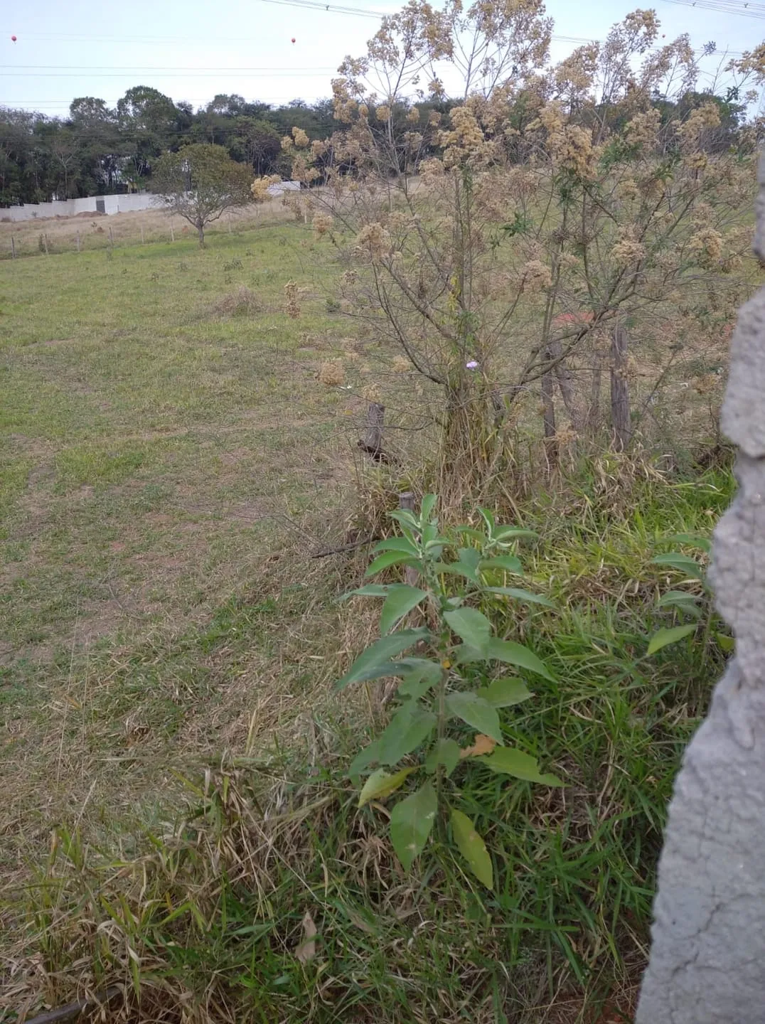 Imagem Terreno à venda 5000M², São Gonçalo, Taubaté - SP