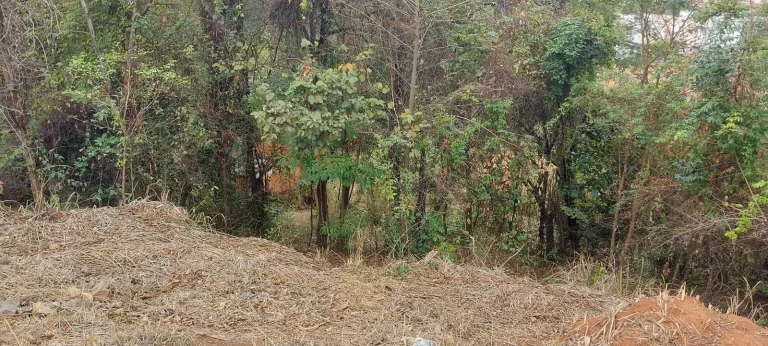 Imagem O melhor preço de Lote na região com 23m² de frente.