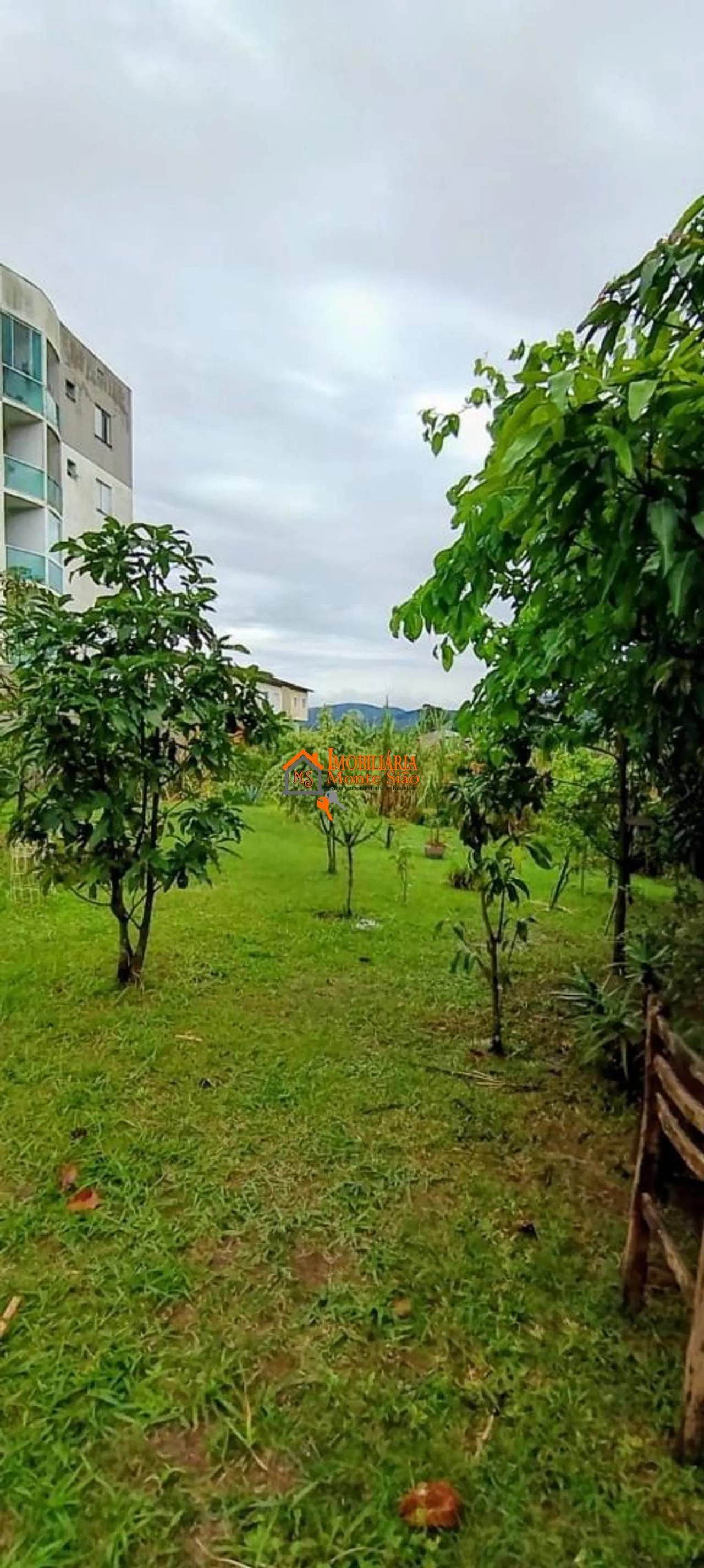 Imagem Apartamento com 2 dormitórios à venda, 49 m² por R$ 310.000,00 - Parque Continental II - Guarulhos/SP