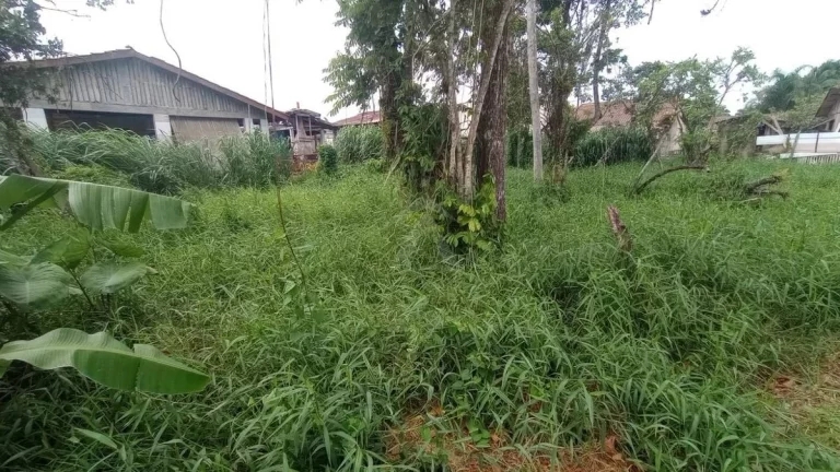 Imagem TERRENO, 592M², BALNEÁRIO DAS PALMEIRAS