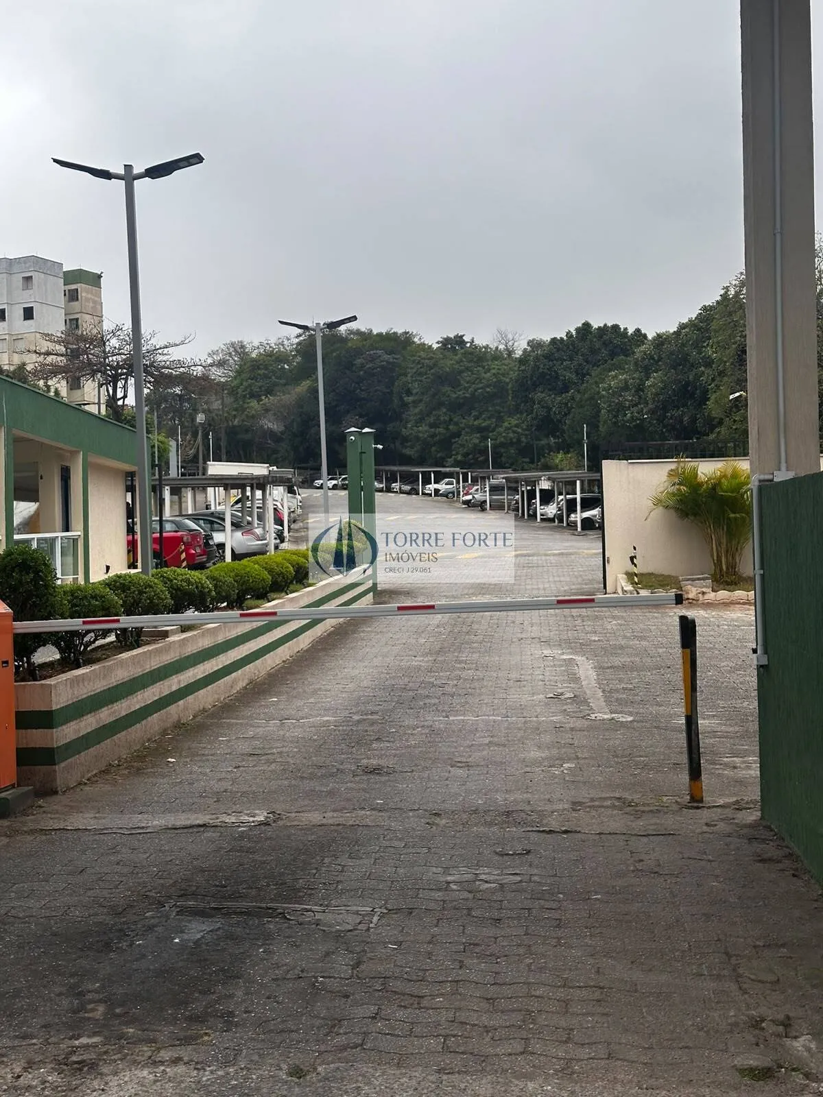 Imagem Oportunidade Apartamento Residencial IV Centenário