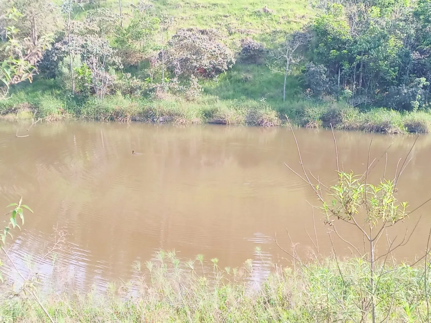 Imagem Sítio com 9 Alqueires em Ribeirão Grande com Abundância de Água