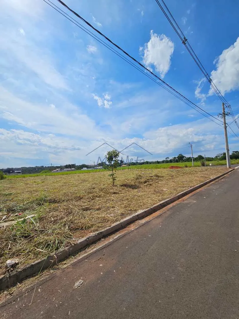 Imagem Terreno Padrão