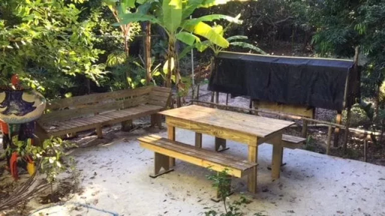 Imagem Casa na Mata