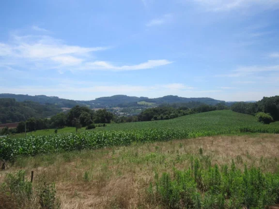 Imagem Área Agrícola para Venda em Concórdia, Rural