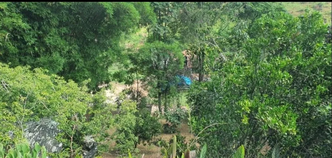 Imagem Chácara à venda 3 Quartos, 1 Suite, 96800M², Zona Rural, São Luiz do Paraitinga - SP