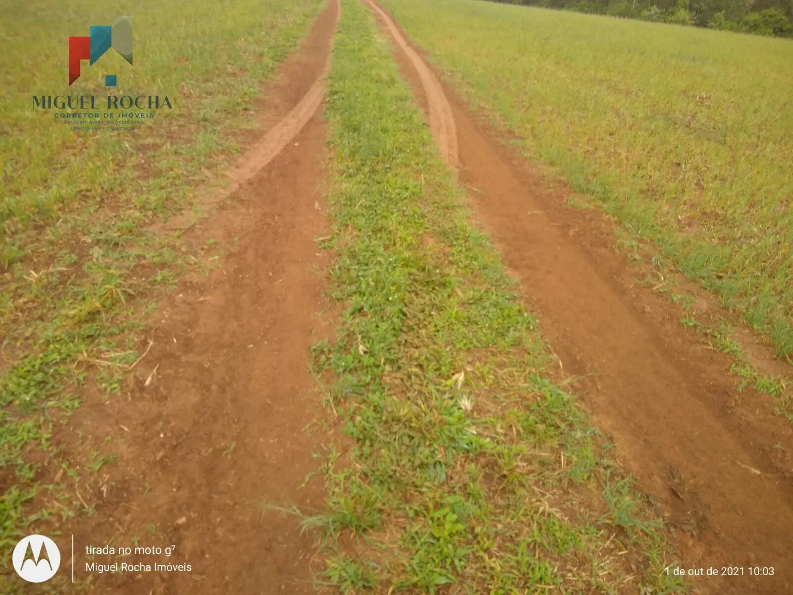 Imagem Fazenda Região de Itapetininga SP