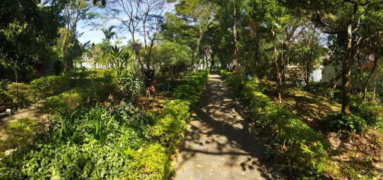 Imagem Sobrado geminado | 2 dormitórios | 1 vaga | Jardim Santa Cruz