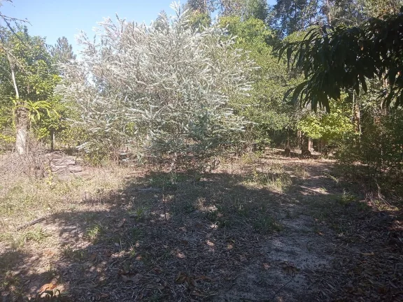 Imagem Sitio com 2.056m², em condomínio fechado, arborizado, Águas Clara, Viamão