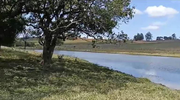 Imagem Sitio com água abundante - OPORTUNIDADE no Interior de São Paulo