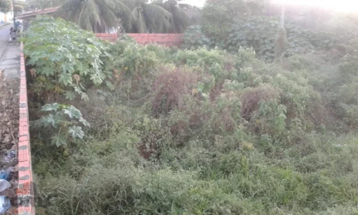 Imagem Terreno a Venda no bairro Pacajus - Pacajus, CE