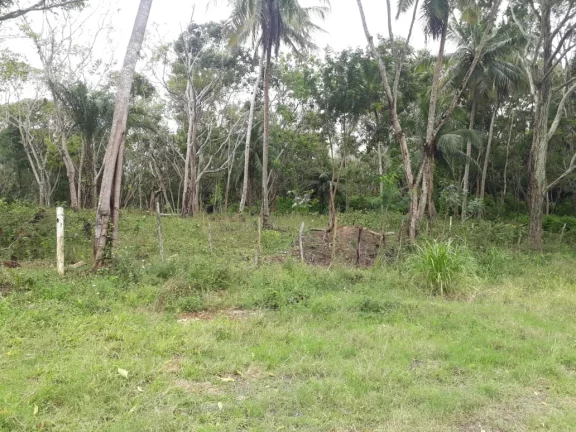 Imagem TERRENO EM CAMAÇARI