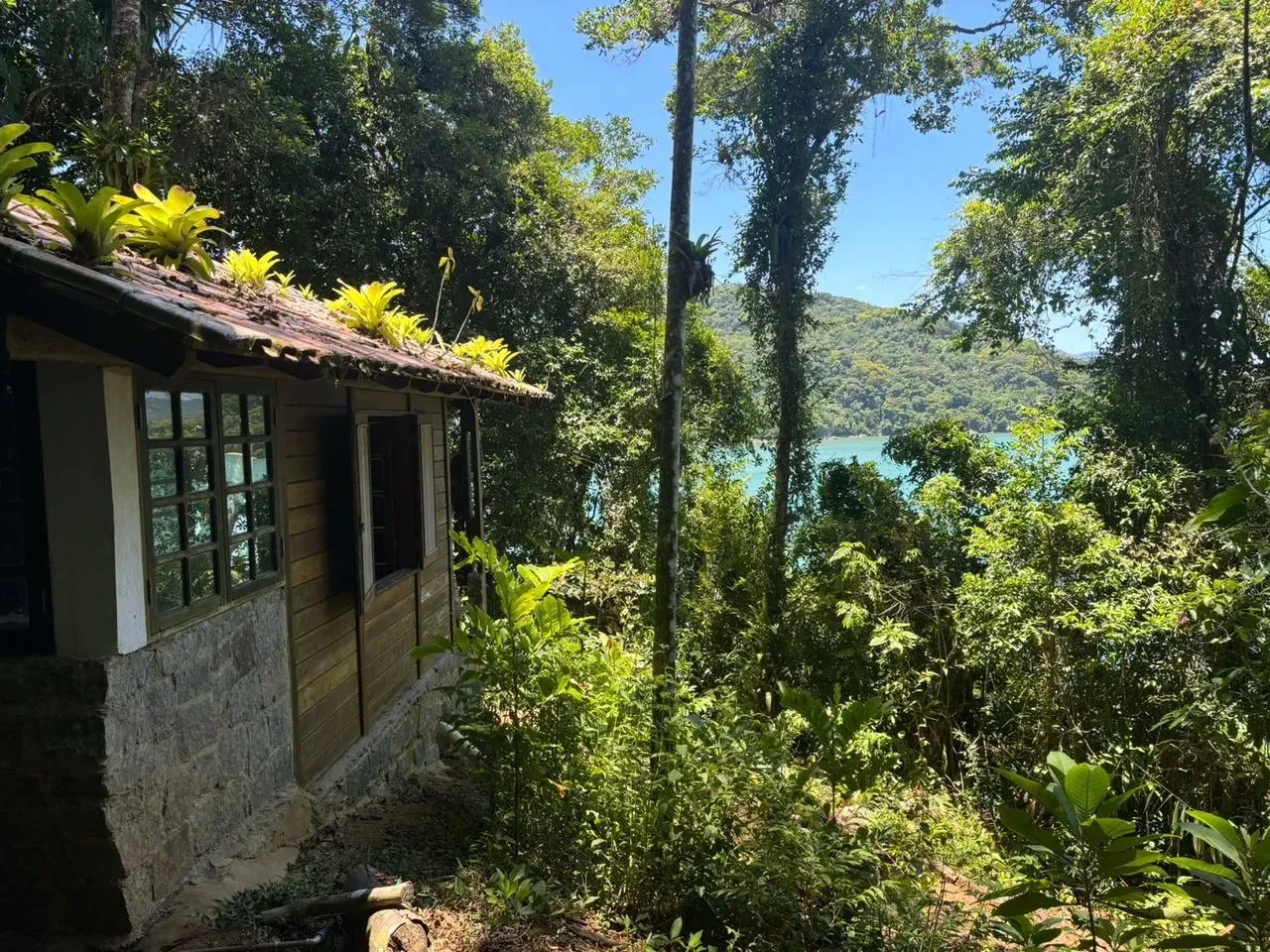 Imagem Terreno à Venda, 5500 metros em Ilha a Venda  - Paraty