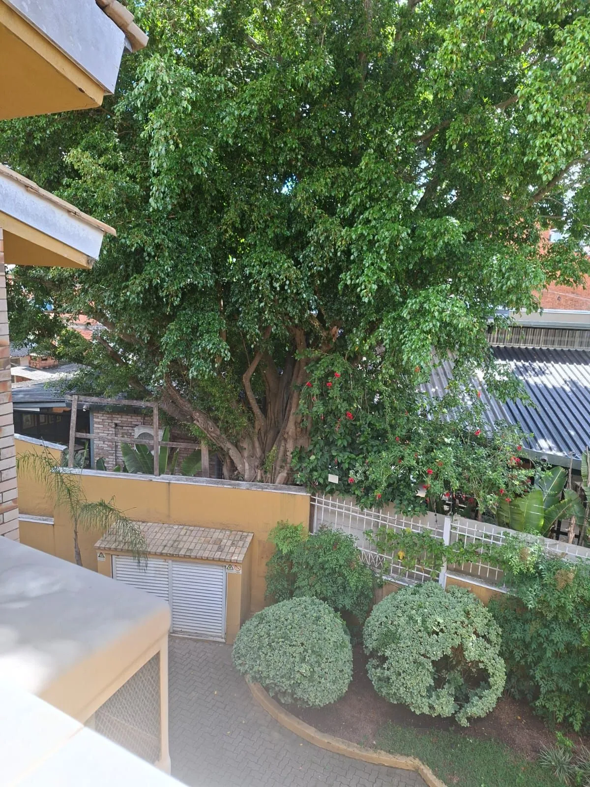 Imagem Casa em condomínio de 3 dorm. na Tristeza