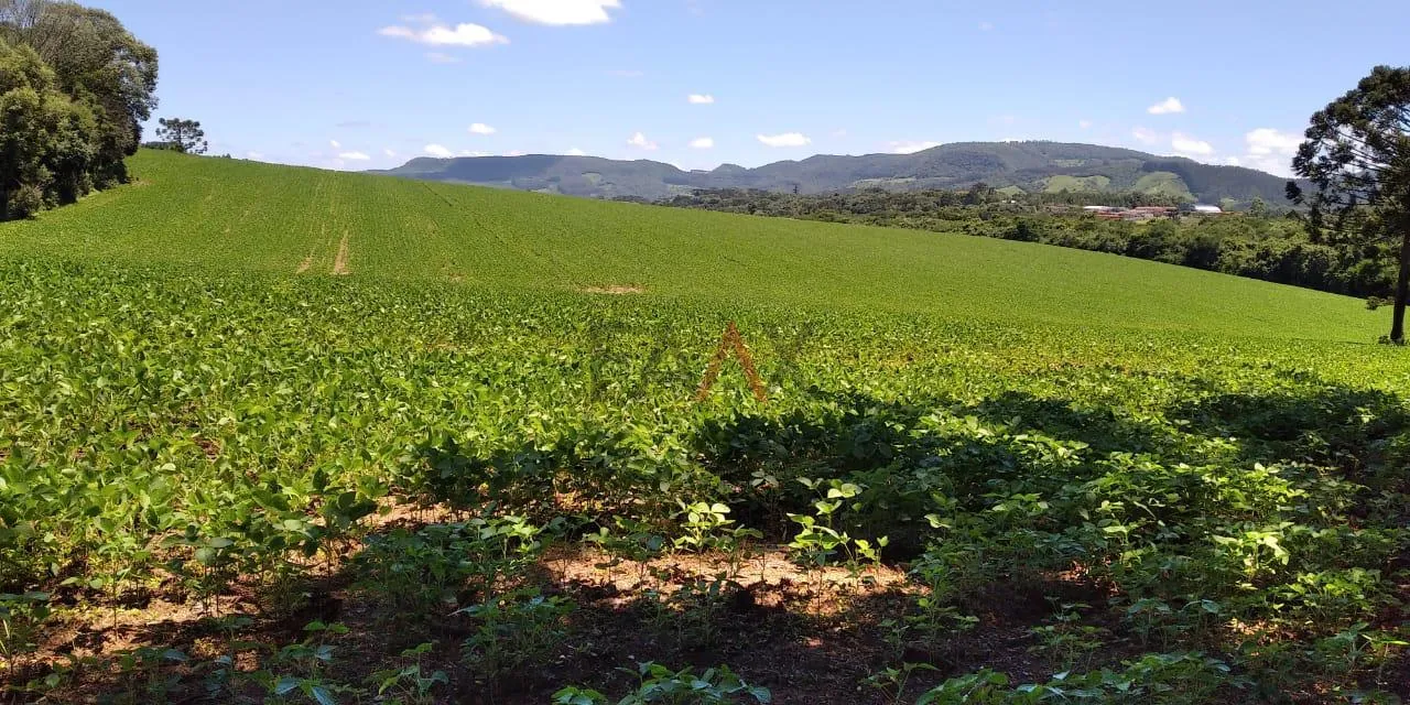 Foto do imóvel Chácara à venda, BR277 Prudentópolis, PRUDENTOPOLIS - PR