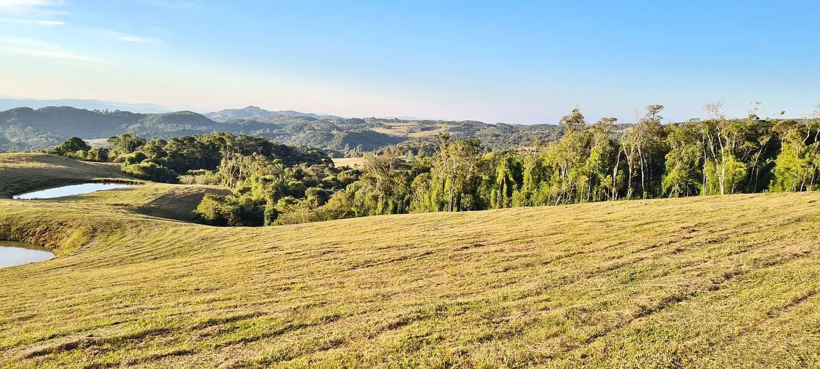 Imagem Oportunidade Única! Terreno com 4 Lagos e Escritura Pública em Rancho Queimado - 27,6 ha