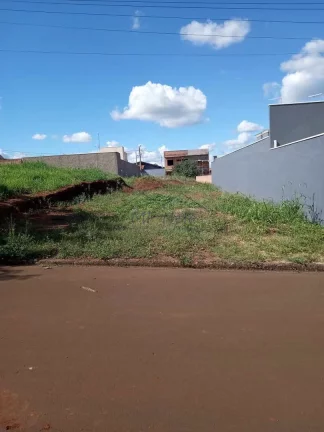 Imagem Terreno Padrão