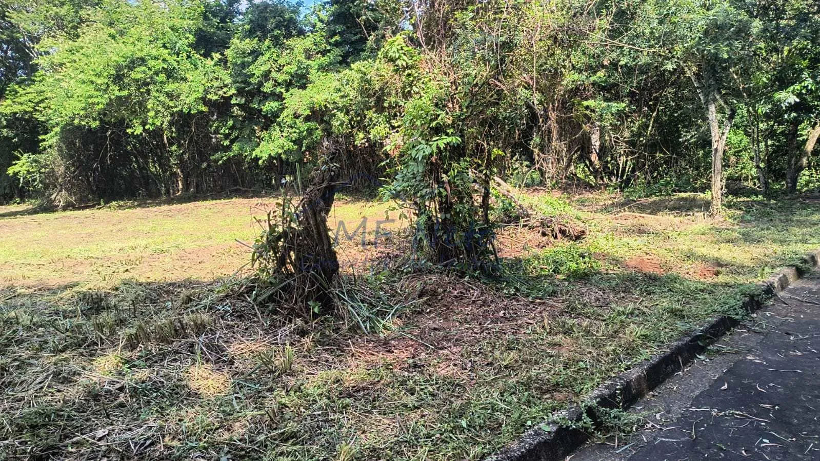 Imagem Terreno Padrão