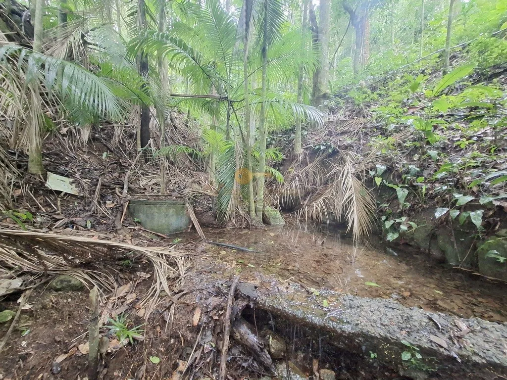 Imagem Sítio para Venda em Teresópolis / RJ no bairro Serrinha