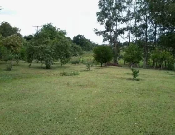 Imagem Descubra o Encanto Rural: Chácara dos Sonhos em Cruz do Cedro, Quadra/SP Seu Refúgio Perfeito na Natureza por Apenas R$ 650 Mil