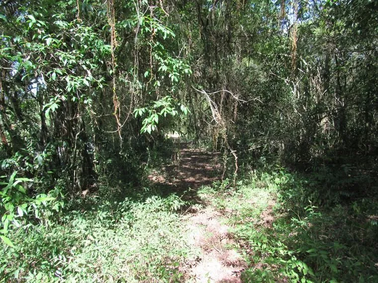 Imagem Área 53851,44 m² no Beco da Paixão Bairro Lomba do Pinheiro