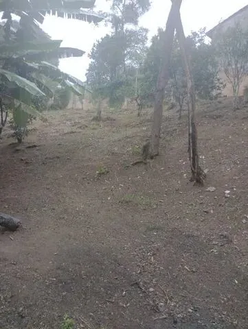 Imagem Chacara ibiuna 4.500 MTS,com 5 dormitórios sendo 4 suítes