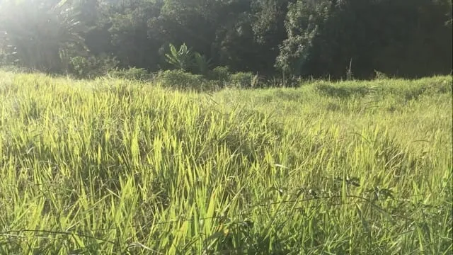 Imagem Chácara à venda 2300M², Zona Rural, São Luiz do Paraitinga - SP