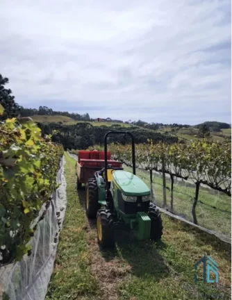 Imagem - Fazenda, Vinícola, Sítio, A VENDA, próximo ao centro de São Joaquim SC