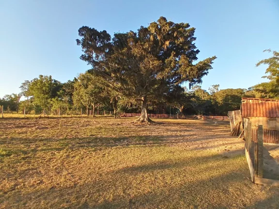 Imagem Sítio com 6.384,42m², Cabana 70m², Condominio Fechado, Morro Grande/Viamão.