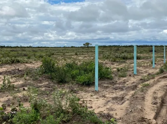 Foto do imóvel Terreno à Venda, 5.000 m² em AU AU - Alto Alegre