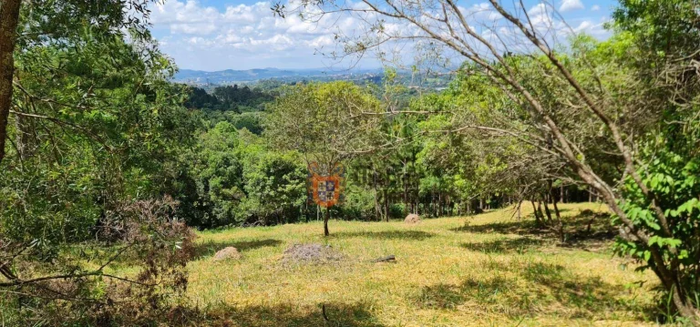 Imagem Terreno à venda, 20000 m² por R$ 1.490.000 - Pinheirinho - Atibaia/SP