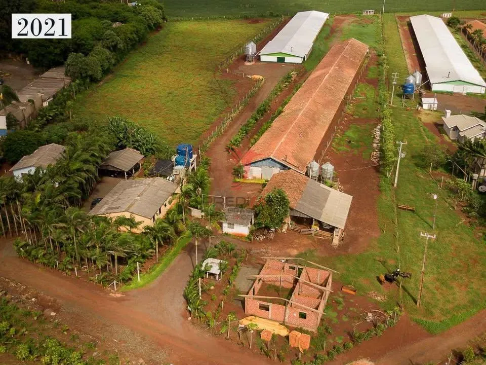 Imagem Aviário em São Miguel do Iguaçu - Centro - São Miguel do Iguaçu/PR