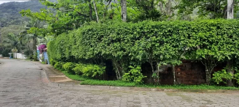 Imagem Oportunidade !!! Casa Praia Tabatinga Caraguatatuba - SP