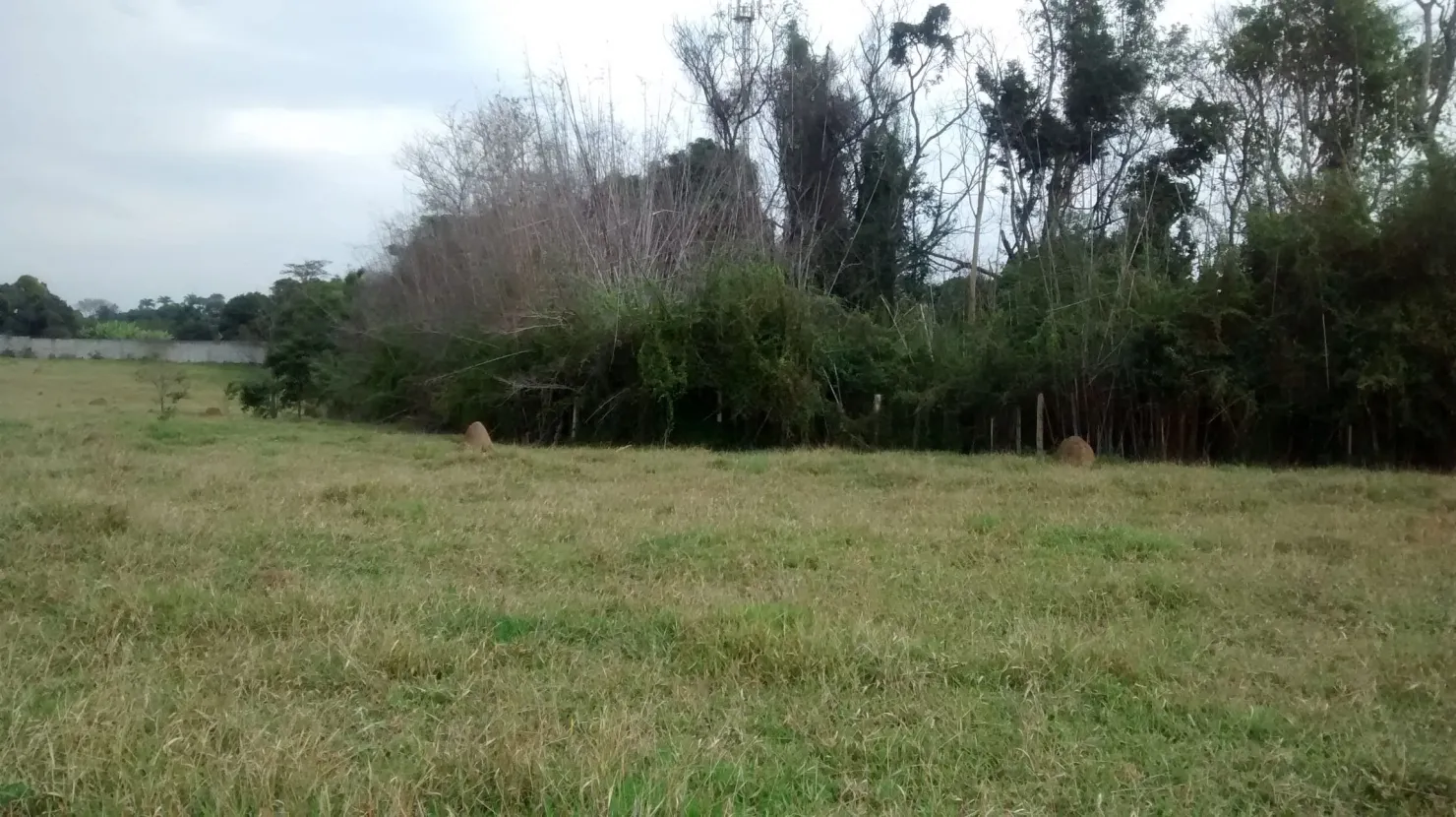 Imagem Terreno à venda 52000M², Santana, Pindamonhangaba - SP